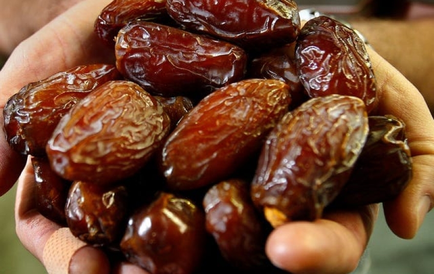 Los Dátiles: una fruta milenaria que combina historia, energía y beneficios para la salud